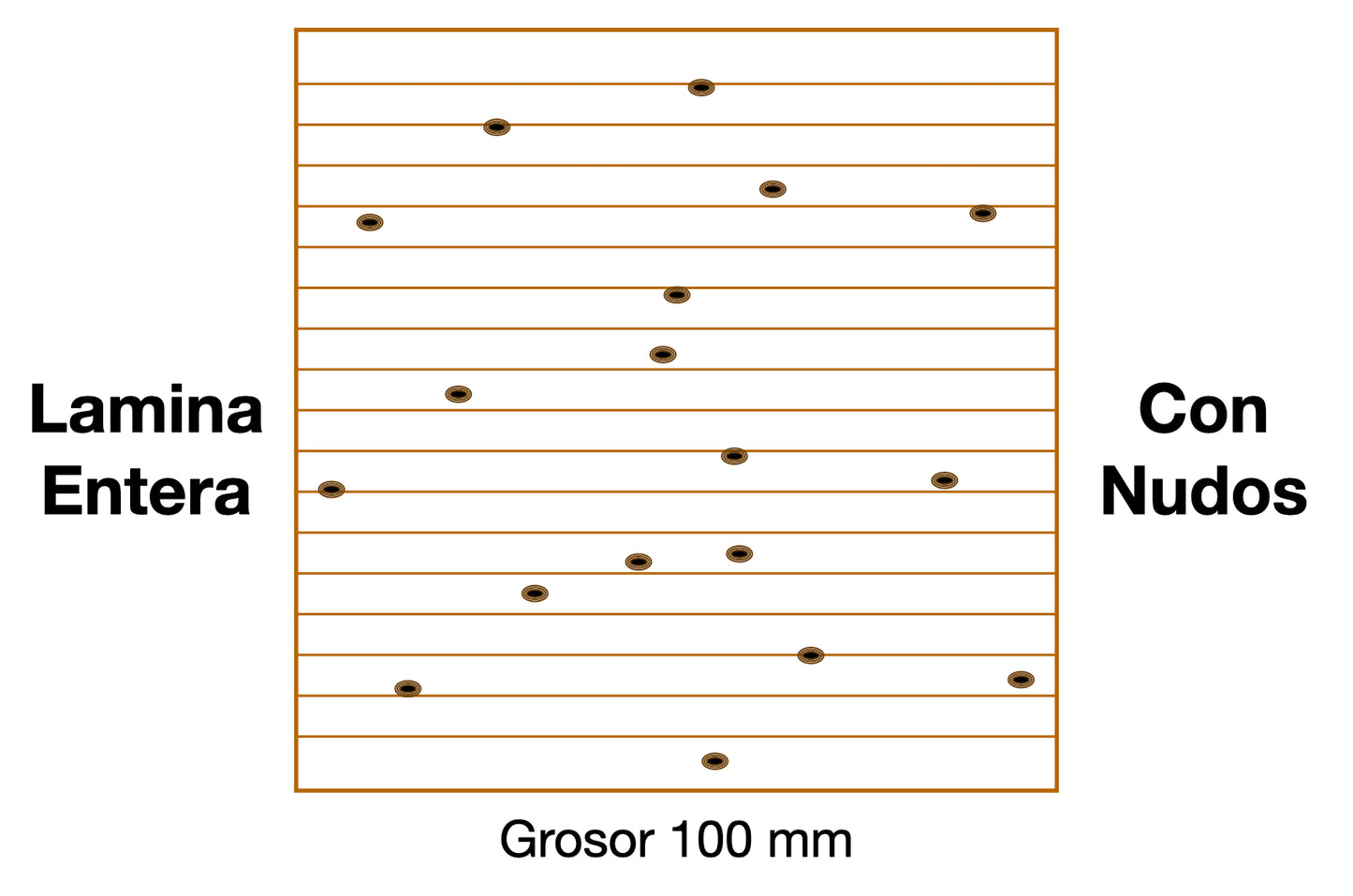 DESCANSILLO DE ROBLE Lamina Entera Con Nudos 100 mm grosor UA
